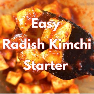 May include: Close-up of radish kimchi, a Korean side dish. The image shows diced radishes coated in a vibrant red sauce, held by a black spoon. Text on the image reads "Easy Radish Kimchi Starter".