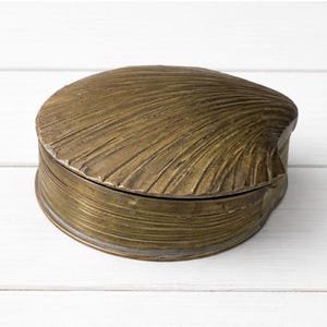 Solid Brass Shell trinket box
