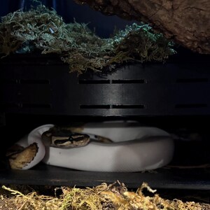 Underground Humid Hide for Reptiles with Modular Tunnels – Buried Hide for Shedding Support image 4