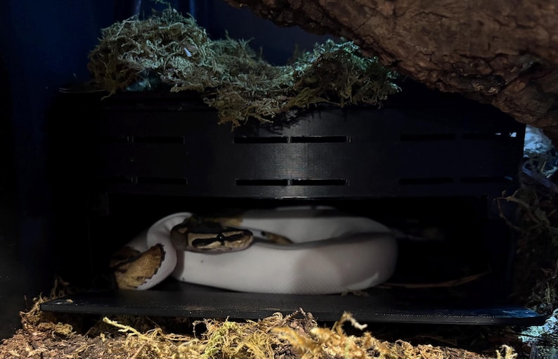 Underground Humid Hide for Reptiles with Modular Tunnels – Buried Hide for Shedding Support image 4