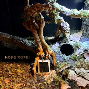 Underground Humid Hide for Reptiles with Modular Tunnels – Buried Hide for Shedding Support image 5