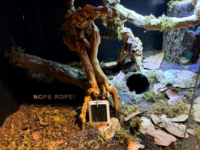 Underground Humid Hide for Reptiles with Modular Tunnels – Buried Hide for Shedding Support image 5