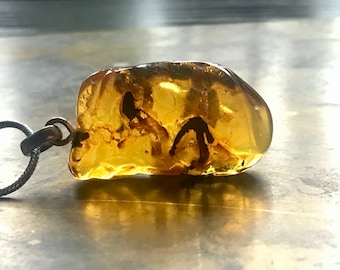 Amazing Amber inclusions Amber Pendant Baltic amber pendant Moss Fossils on chain Unisex raw amber pendant