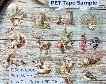 Forest PET Tape Sample Loop | London Gifties | Nature Journaling Tape | Junk Journal Scrapbooking Supply