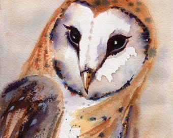 Barn Owl Portrait, Owl, Owl Painting, , Owl Art, Wildlife Painting, Owl Greeting Cards, Original Watercolor by Sue Reimbold