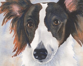 Silken Windhound Portrait, Sighthound Portrait, Silken Windhound Greeting Cards, Original Watercolor by Sue Reimbold
