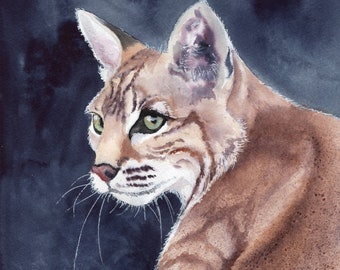 Bobcat, Bobcat Painting, Wildlife Art, Original Watercolor by Sue Reimbold