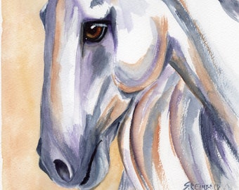 White Horse, Andalusian Horse, Stallion, Equine Art, White Horse Watercolor, Original Watercolor by Sue Reimbold
