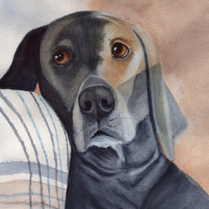 Weimaraner Portrait, Weimaraner Greeting Cards, Giclee Print of Weimaraner from Original Watercolor by Sue Reimbold