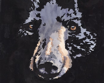 Black Bear Painting, Black Bear Portrait, Bear Art, Original Watercolor or Giclee Prints, Greeting Cards by Sue Reimbold