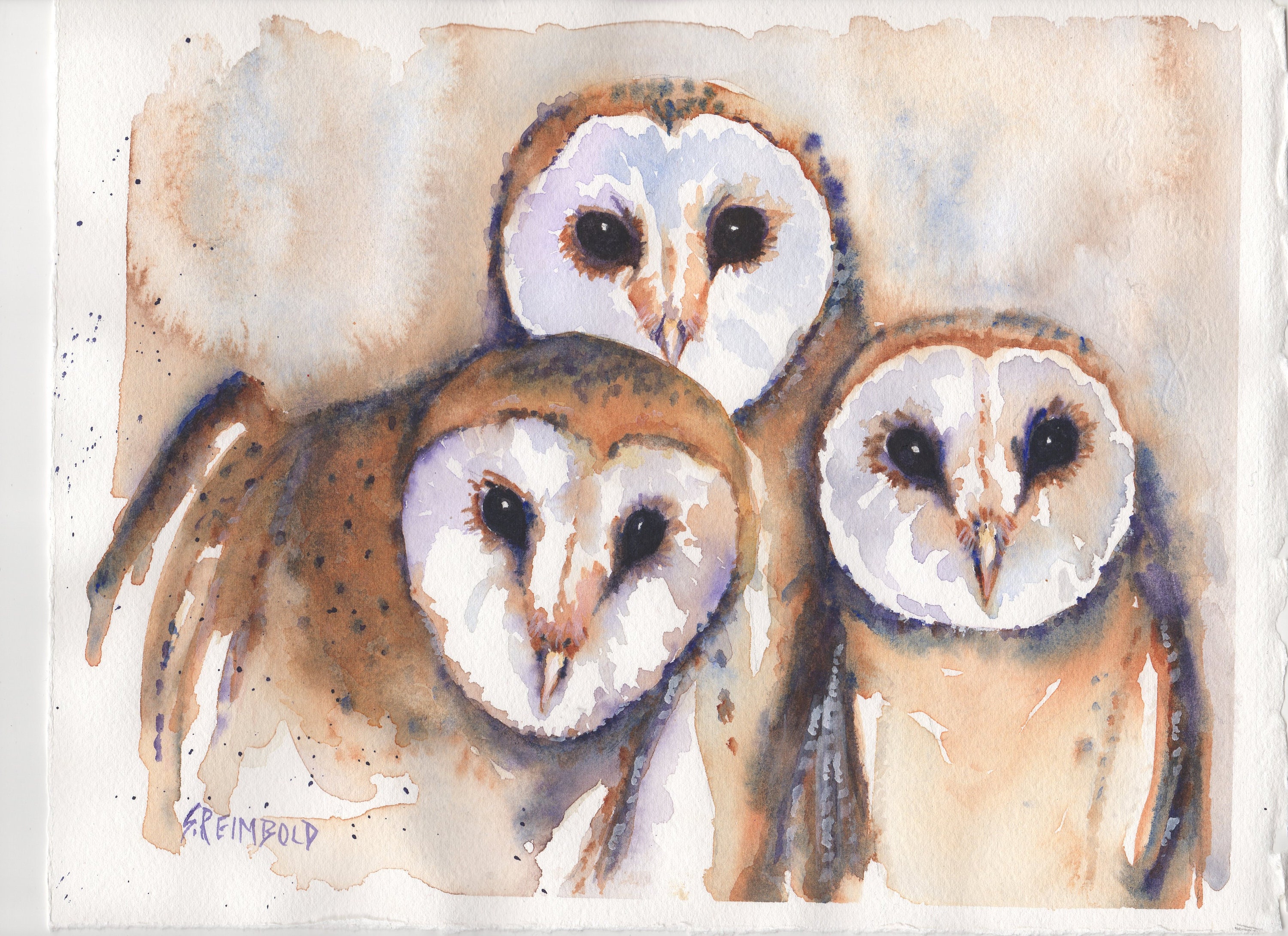 Original Barn Owls Watercolor Painting by Sue Reimbold, 8x10 Double Matted