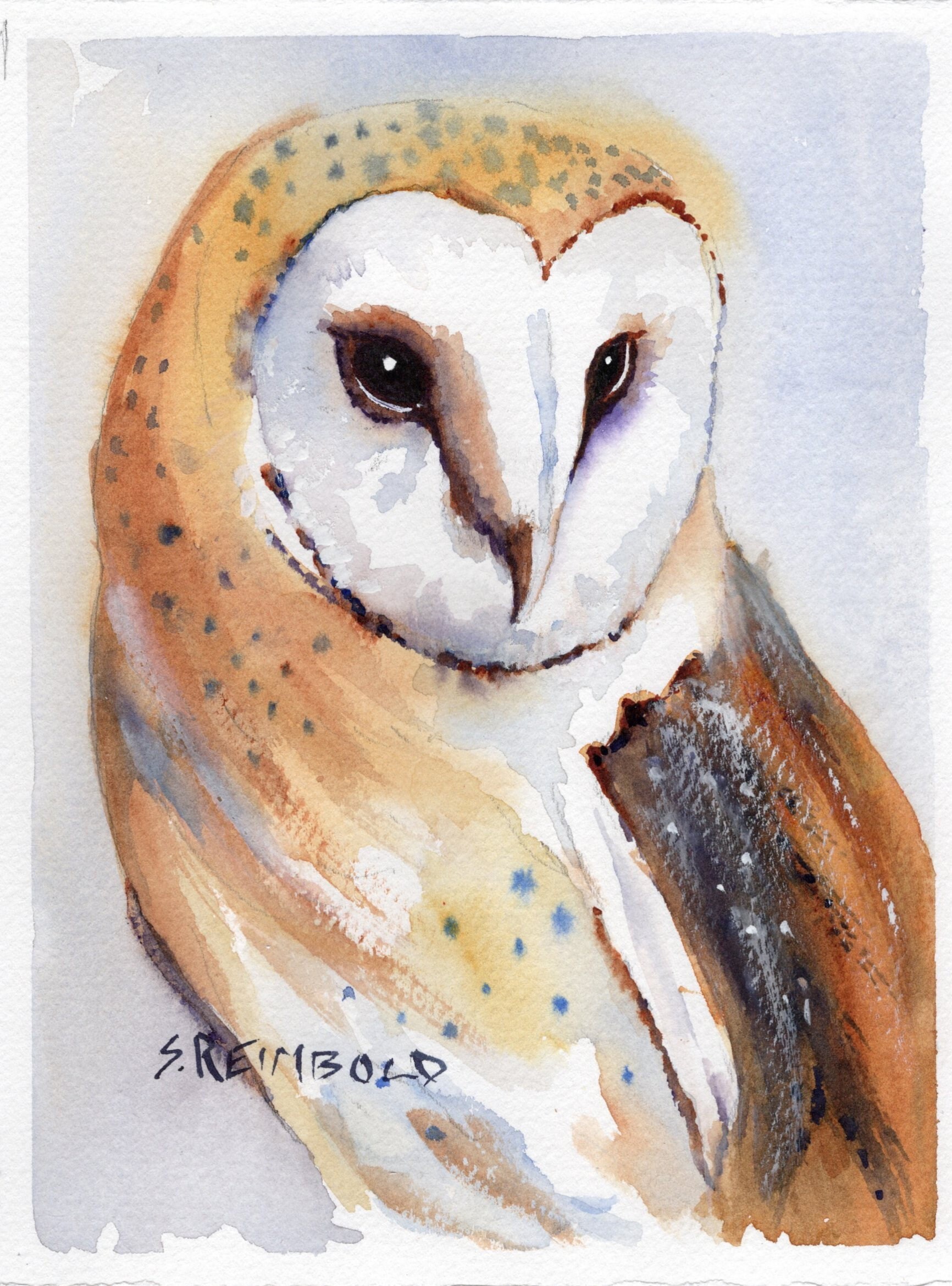 Barn Owl Portrait, Owl Painting, Owl, Barn Owl Art, Owl Greeting Cards,  Original Watercolor by Sue 