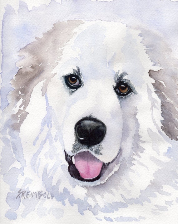 matted great pyrenees