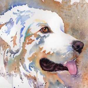 Great Pyrenees Mountain Dog Portrait,  Great Pyrenees Greeting Cards, Giclee Print from Original Watercolor by Sue Reimbold