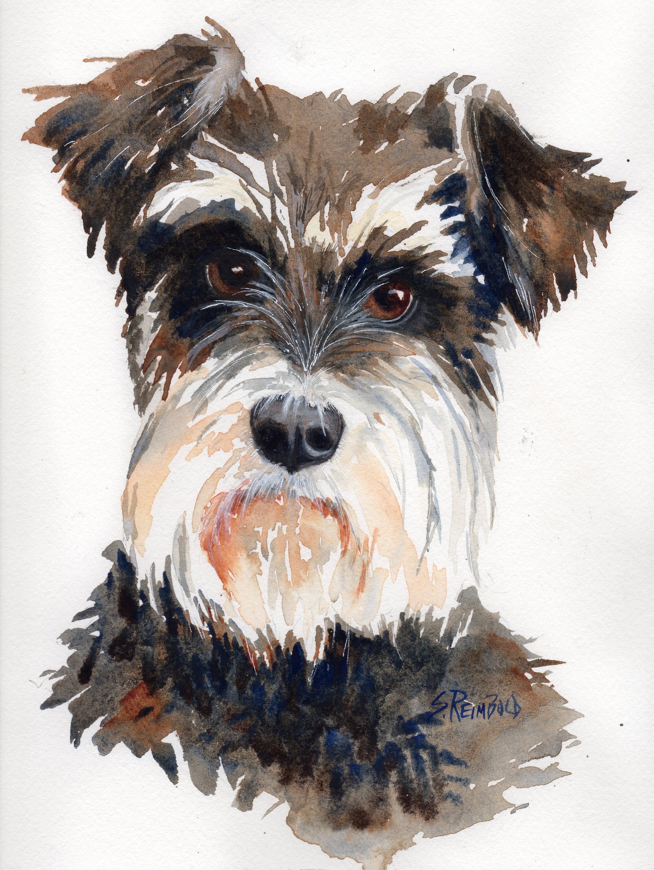 Portrait Schnauzer Portrait Schnauzer Miniature Giclee Print Etsy Canada