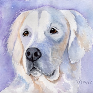 Golden Retriever Portrait, Golden Retriever Greeting Cards, Original Watercolor by Sue Reimbold