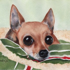 Puede incluir: Pintura a la acuarela de un perro pequeño marrón con ojos grandes y oscuros. El perro está acurrucado en una manta a rayas verdes y blancas con un acento rojo. La firma del artista, "S. Reimbold", es visible en la esquina inferior izquierda.