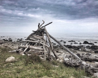 El Capitan California Beach Driftwood Fine Art Photograph Giclee 5 X 7