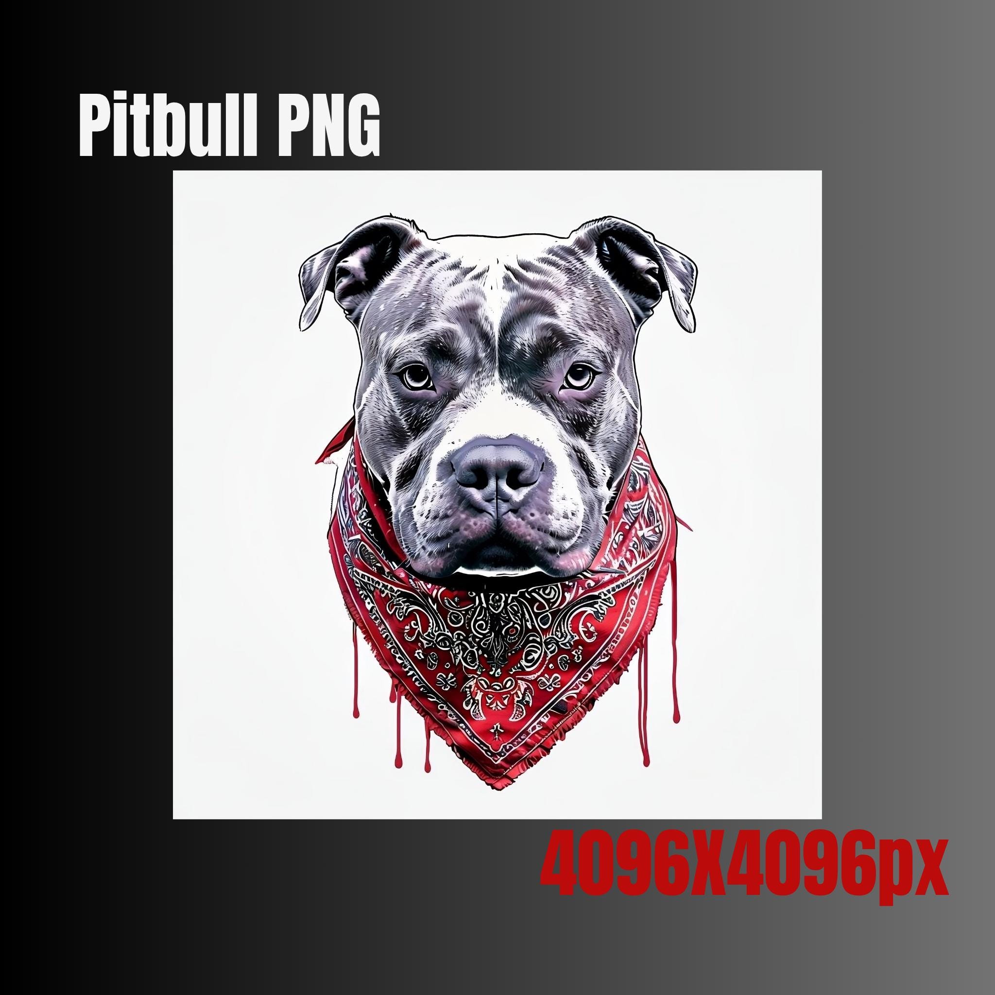 Pitbull rapper png - Etsy 日本