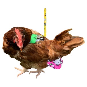 SEW your own Chicken Diapers in three sizes S-M-L plus leash and harness instructions Save MONEY 画像 6