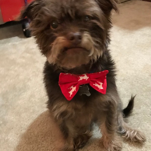 SEW a Dog Bow Tie - Sewing Pattern ePattern pdf file - Make your own bow tie for dogs in 3 Sizes: Small, Medium, and Large