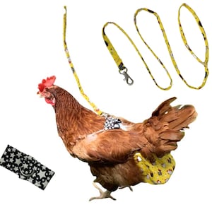SEW your own Chicken Diapers in three sizes S-M-L plus leash and harness instructions Save MONEY 画像 5