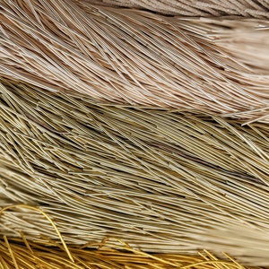 May include: A close-up of a pile of gold and beige metallic threads. The threads are arranged in a random pattern, creating a textured surface.