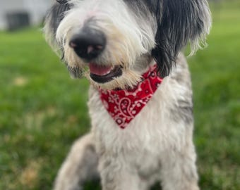 Over-the-Collar Dog Bandana – Slide On Cotton Dog Scarf – Double-Layer Handmade Dog Bandana – Modern Dog Accessory – Puppy Gift