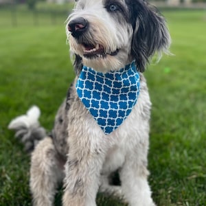Snap-On Double-Layer Dog Bandana | Durable Cotton Dog Scarf | Soft and Secure Dog Accessory | Handmade Pet Bandana | Bark & Bloom | Medium