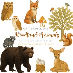 Woodland animals, Woodland friends, Autumn winter forest animals, Watercolor clipart png, clipart bundle set of 30, Commercials license