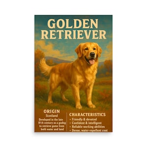 Póster de Golden Retriever - Perro Golden Retriever - Raza de perro - Amante de los perros - Regalo para perros - Póster de mascotas - Póster de perros - Póster de mascotas - Pósters
