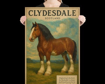 May include: A framed print featuring a Clydesdale horse. The horse is brown with a white blaze and white feathered legs, set against a backdrop of a field and sky. Text at the top reads "CLYDESDALE SCOTLAND."