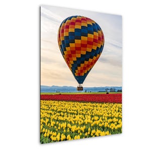Heißluftballons über Tulpenfelder - Tulpenfrühling Fotografie, PNW Wand Kunst Dekor