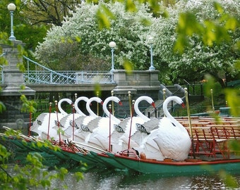 Boston Swan Boats Canvas Print, Ready to hang, Available in sizes 16x20 up to 30x40, Gift Idea, Nursery Decor, Home Art, Nursery Decor,