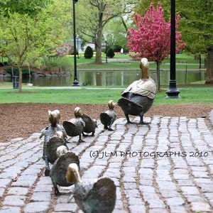 Boston Art Make Way for Ducklings, Kids Room, Photo Print, Summer Vacation Memories, Wall Art Home Decor