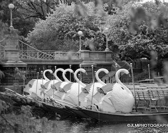 Black & White Boston Prints, Home Decor, Boston Public Garden Photography Landscape, Swan Boat Prints, 16 x20 Art Picture, Teen Dorm Bedroom