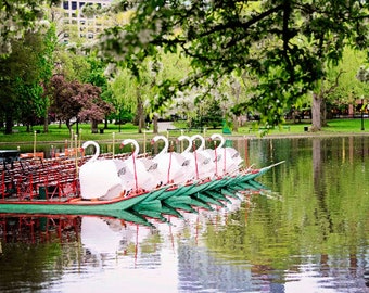 Swan Boats Boston Public Garden, Summer Memories, Office Wall Art, New England Photography Prints, Girls Nursery Decor, Home Wall Decor