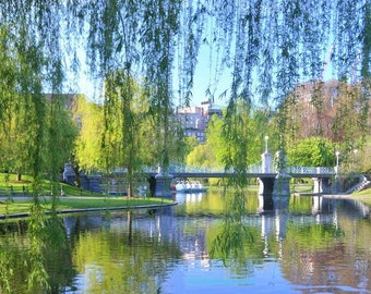 Unframed Print of Boston Public Garden, Swan Boats, Home Wall Art, Boston Landmark Art Print, Master Bedroom Wall Hanging, Boston Home Decor