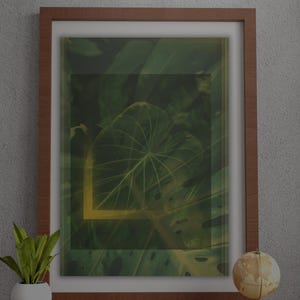 Digital Prints - Printable Art - Monstera Mystic Prints
