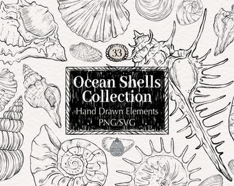 Muschel Line Art Clipart Bundle: Handgezeichnete Küstenelemente (PNG SVG Digital Download)