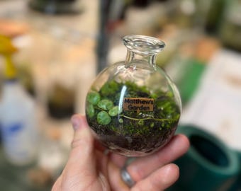 Custom Tiny Terrarium Sign, Miniature Garden Decor, Fairy Garden Accessories, Waterproof Sign