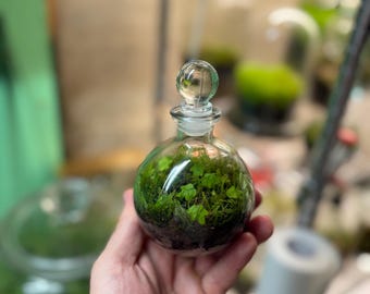 Bioloark Bio Bottle ZD200 - Etsy