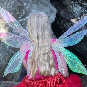 Könnte beinhalten: Eine Person mit langen blonden Haaren, die ein rosa Oberteil und einen roten Rock trägt, ist von hinten zu sehen. Irideszierende Feenflügel sind angebracht. Der Hintergrund zeigt große graue Felsen und Blätter.