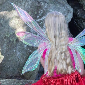 Mountain Fairy Wing -  costume cosplay fantasy accessory Halloween magical magic fairytale dragon pixie sprite butterfly