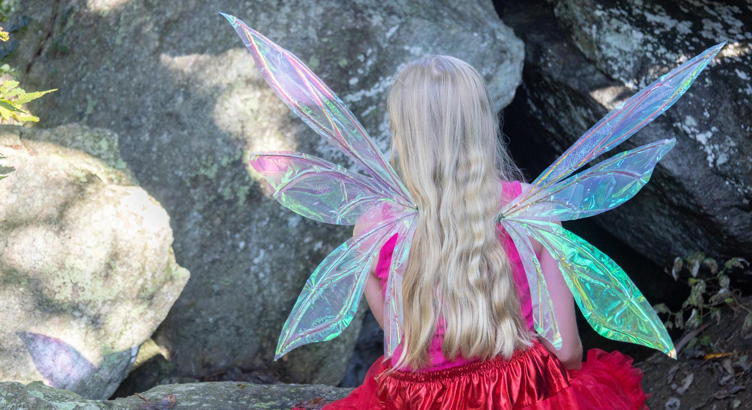 Fairy Costume Accessories - Etsy Fairy Costume Accessories - Etsy