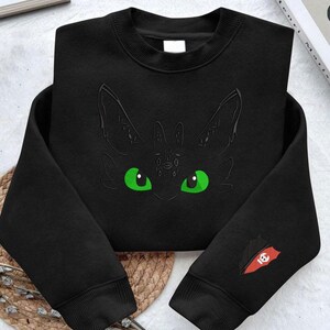 Glitter Cartoon Embroidered Sweatshirt, Viking Style Dragon Training Shirt , Toothless & Light Fury, Night Rage Top, Gift for Cartoon Lovers