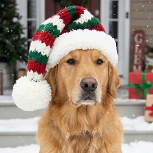 Santa Dog Hat Crochet Pattern, Christmas Holiday Pet Costume cap beanie