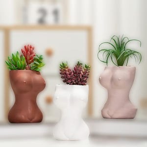 May include: Three ceramic planters shaped like a female torso, each with a different colour and a different type of succulent plant. The planters are on a white surface.