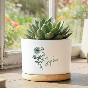 Puede incluir: Una maceta de cerámica blanca con una planta suculenta. La maceta tiene una base de bambú y un diseño floral verde con el nombre "Sophia". La suculenta tiene hojas verdes. La maceta está sobre una superficie de madera cerca de una ventana.
