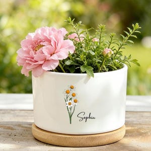 Puede incluir: Una maceta de cerámica blanca con base de madera, llena de plantas verdes y una gran flor rosa. La maceta tiene un diseño floral y el nombre "Sophia" en escritura cursiva. La maceta está sobre una superficie de madera.